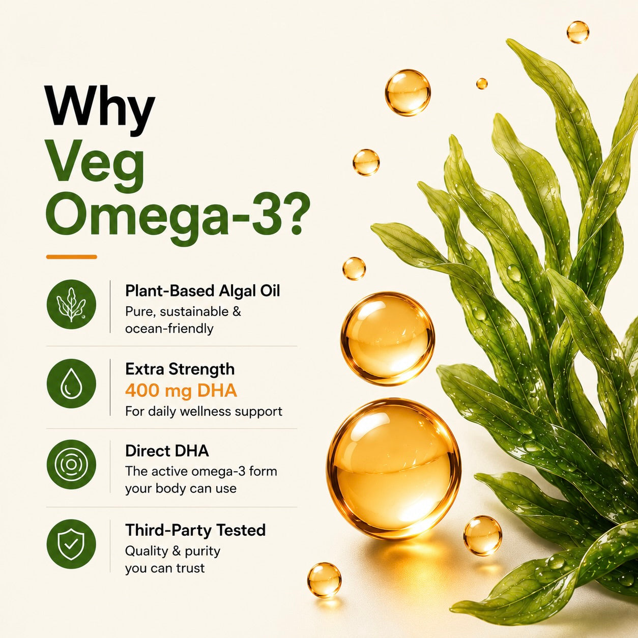 Veg Omega 3