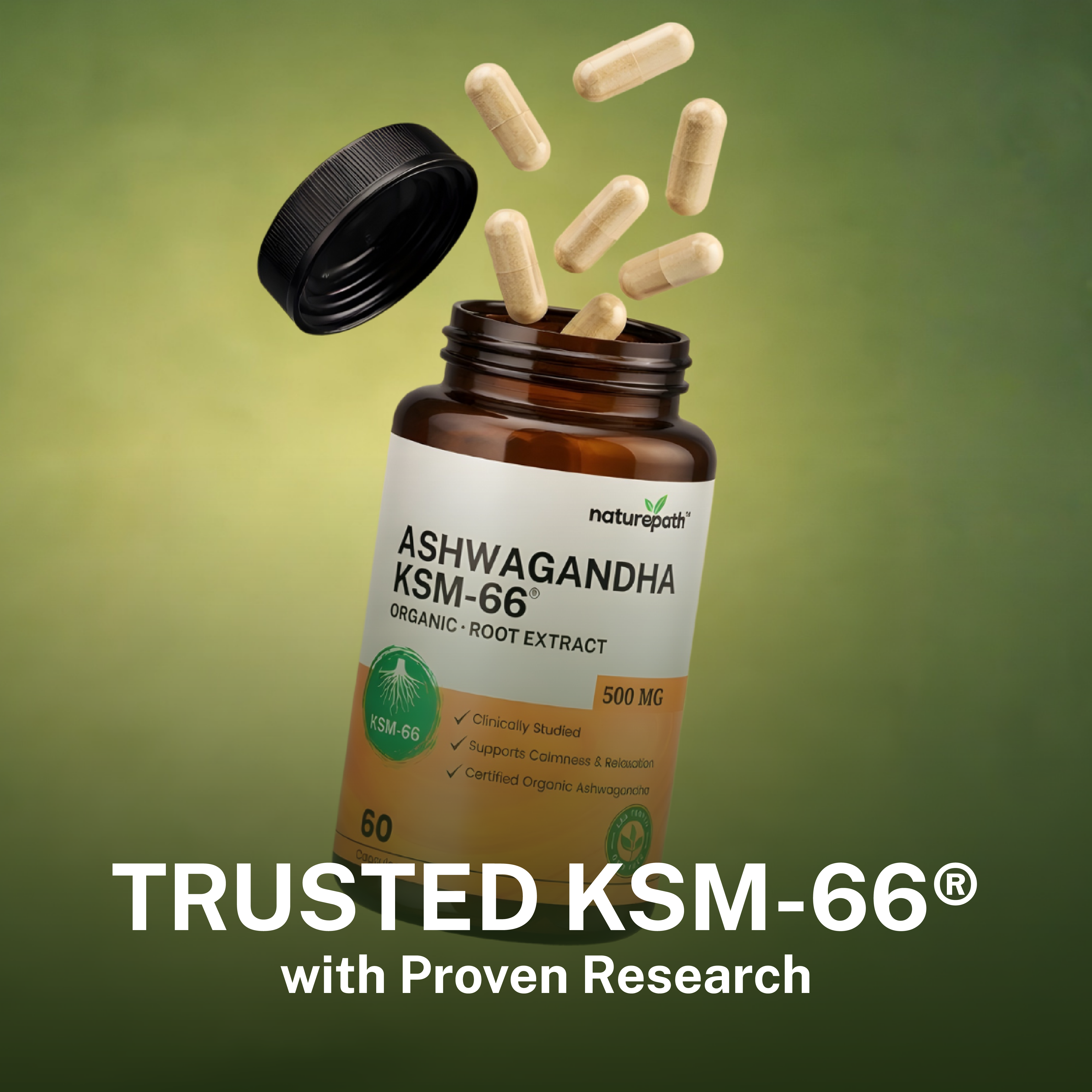 Ashwagandha KSM-66